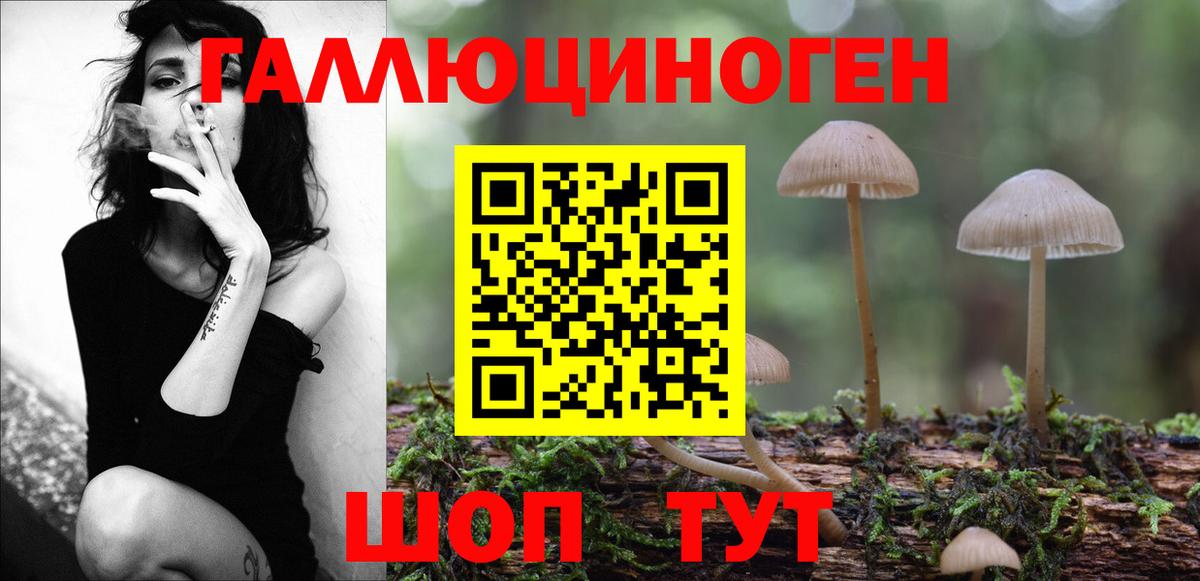 Пугачёв  наркошоп  Вход с VPN  Псилоцибиновые грибы MAGIC MUSHROOMS  Псилоцибиновые грибы мицелий 